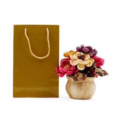 17x27 Gold Karton Çanta - 2li Paket