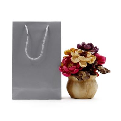 17x27 Gümüş Karton Çanta - 2li Paket