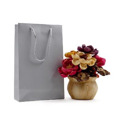 17x27 Gümüş Karton Çanta - 2li Paket