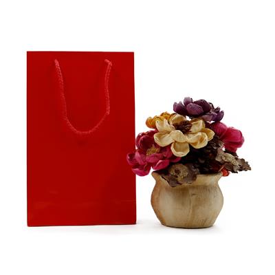 17x27 Kırmızı Karton Çanta - 2li Paket