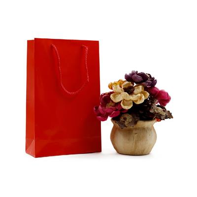 17x27 Kırmızı Karton Çanta - 2li Paket