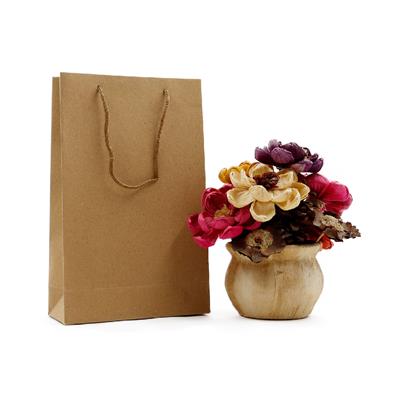 17x27 Kraft Karton Çanta - 2li Paket