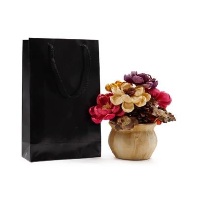 17x27 Siyah Karton Çanta - 2li Paket