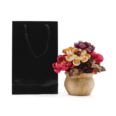 17x27 Siyah Karton Çanta - 2li Paket