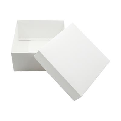 20x20x10 Beyaz Kapaklı Hediye Kutusu 