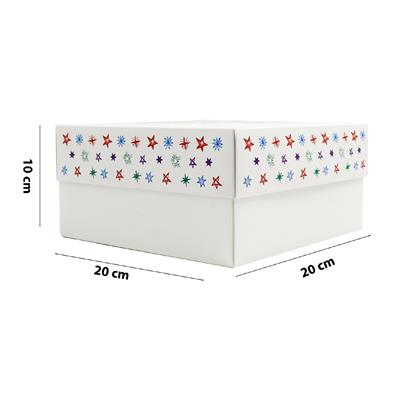 20x20x10 Özel Tasarım Kapaklı Hediye Kutusu M2