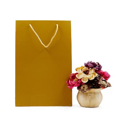 25x38 Gold Karton Çanta - 2li Paket