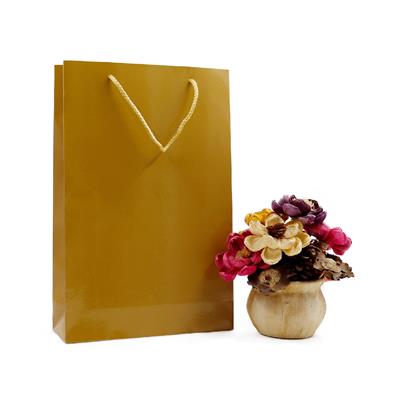 25x38 Gold Karton Çanta - 2li Paket
