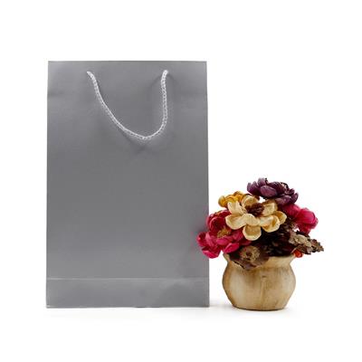 25x38 Gümüş Karton Çanta - 2li Paket