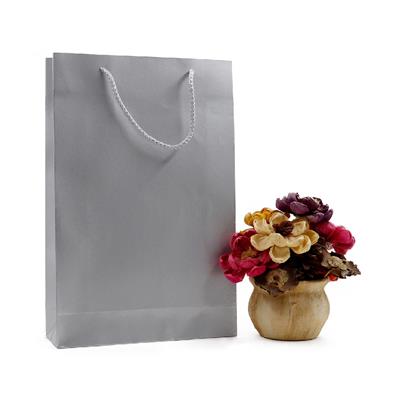 25x38 Gümüş Karton Çanta - 2li Paket