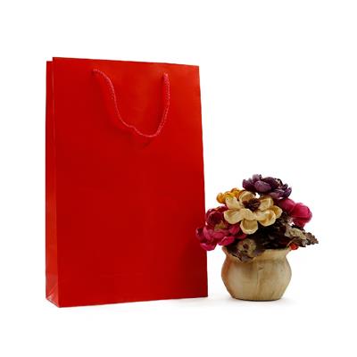 25x38 Kırmızı Karton Çanta - 2li Paket