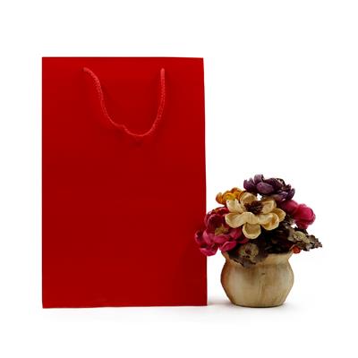 25x38 Kırmızı Karton Çanta - 2li Paket