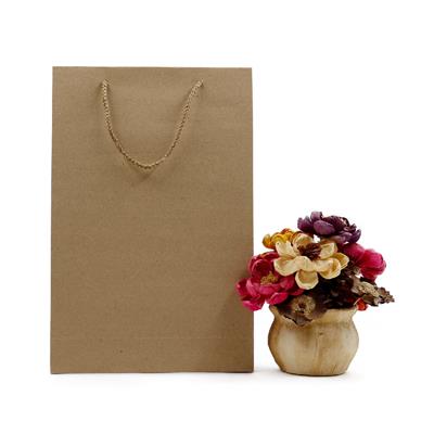 25x38 Kraft Karton Çanta - 2li Paket