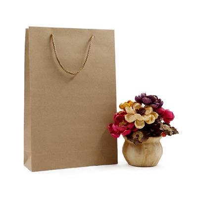 25x38 Kraft Karton Çanta - 2li Paket