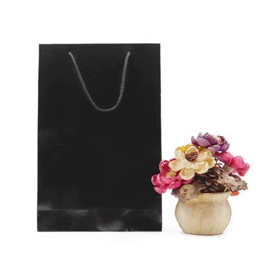 25x38 Siyah Karton Çanta - 2li Paket