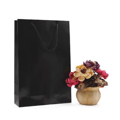 25x38 Siyah Karton Çanta - 2li Paket