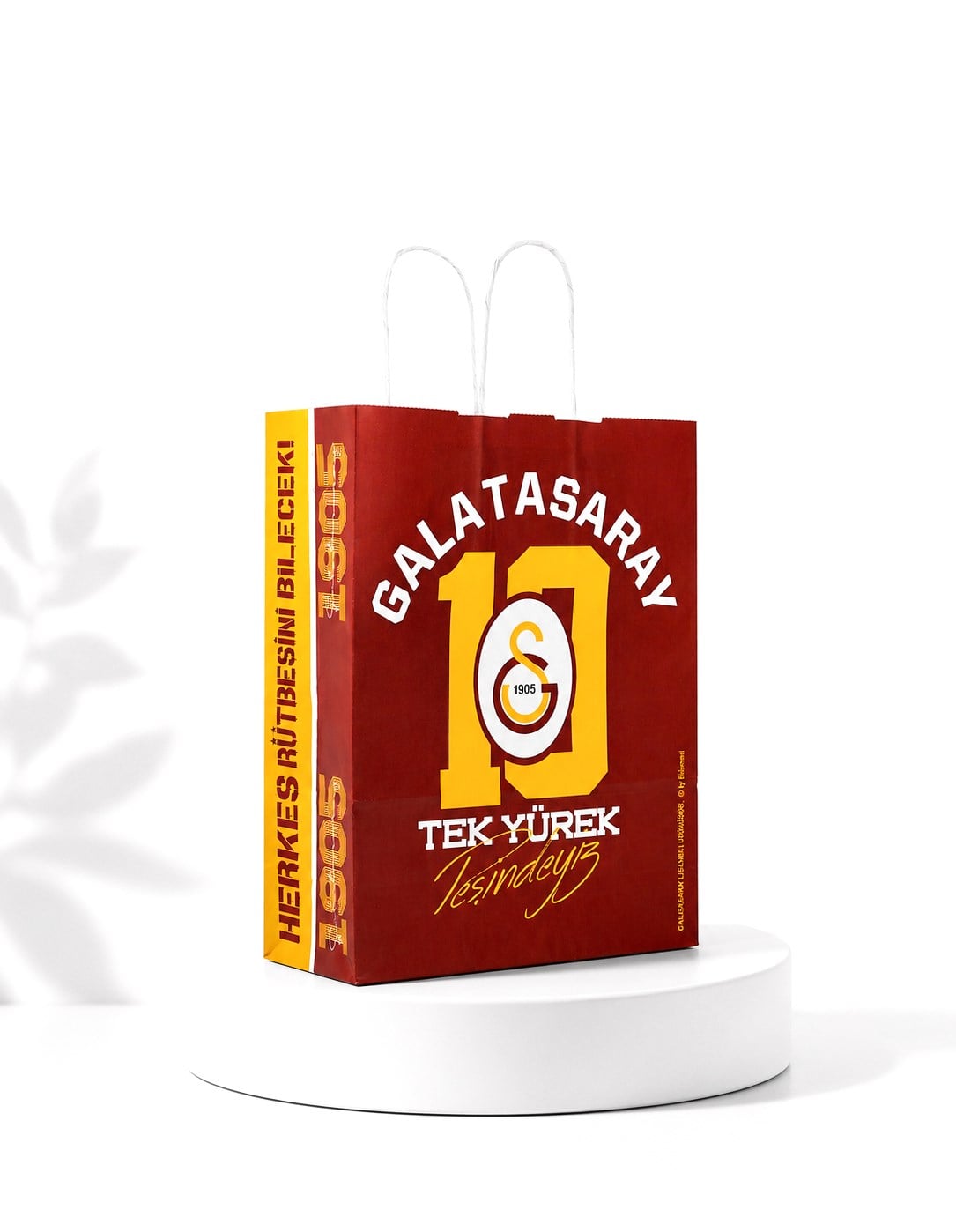 18x24 Galatasaray Temalı Lisanslı Kağıt Poşet - 2'li Paket