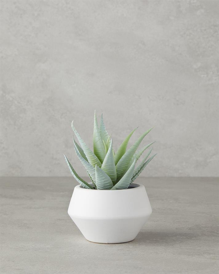 Aloevera Plastik Vazolu Yapay Çiçek Yeşil