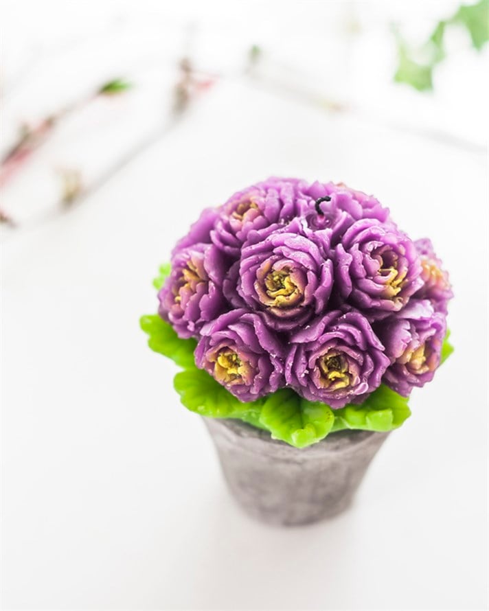 Peony Saksılı Mum . Mor