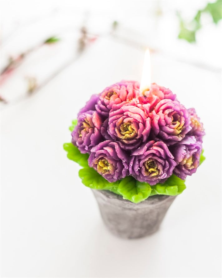 Peony Saksılı Mum . Mor