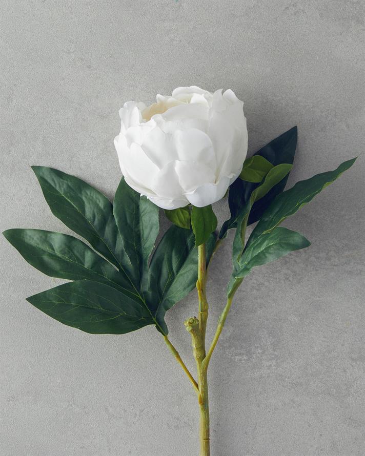 Peony Tek Dal Yapay Çiçek 58 cm Beyaz