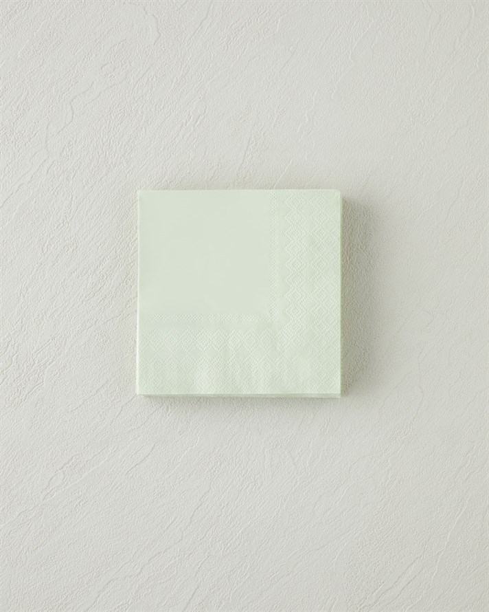 Plaine 20li Kağıt Peçete 24x24 cm Yeşil