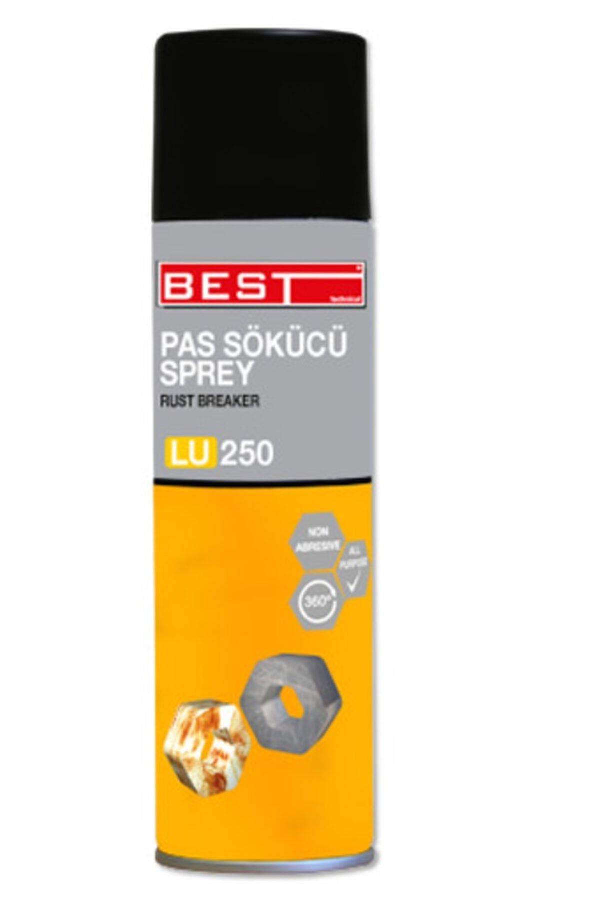 250 Pas Sökücü Temizleyici