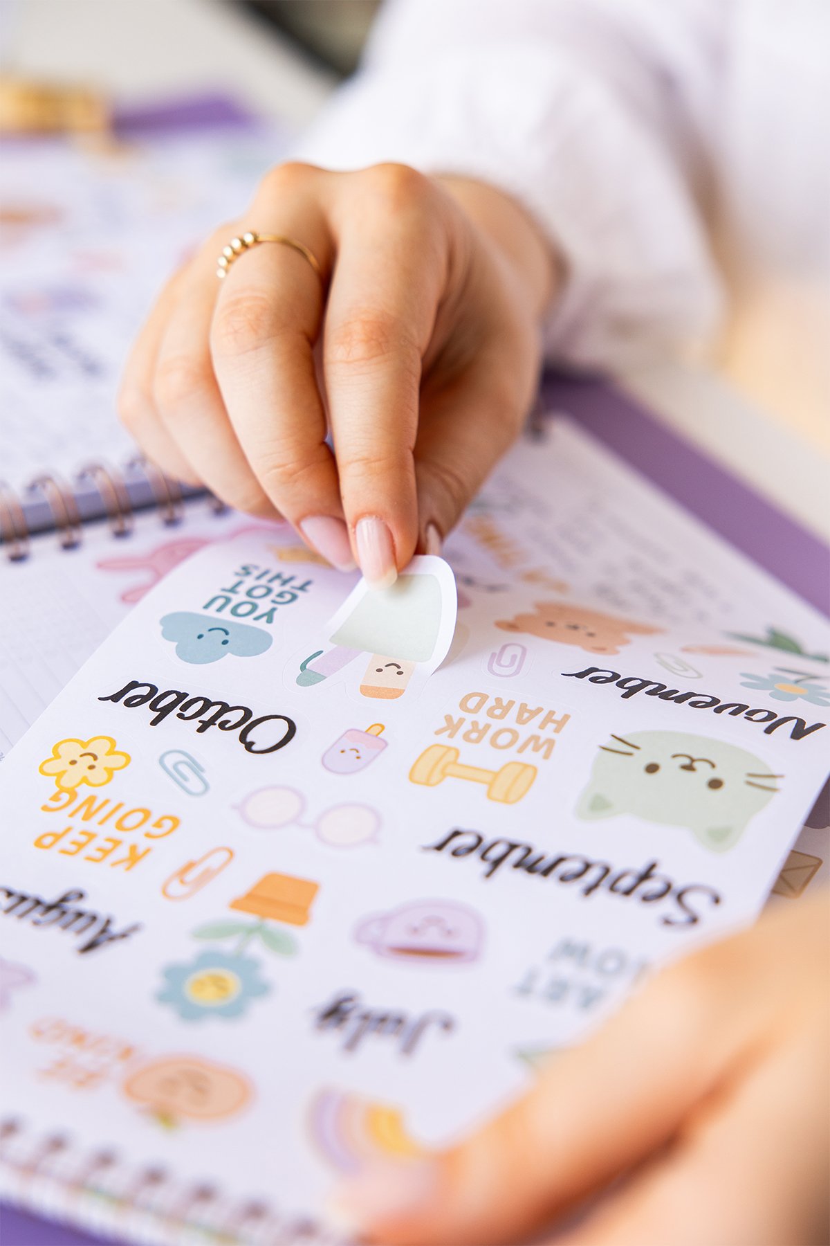 Sticker defter modeli