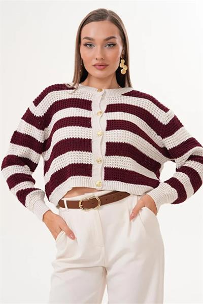 Çizgi Desenli Düğme Kapamalı Triko Örme Hırka