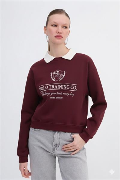 Polo Yakalı Nakış İşlemeli Sweatshirt