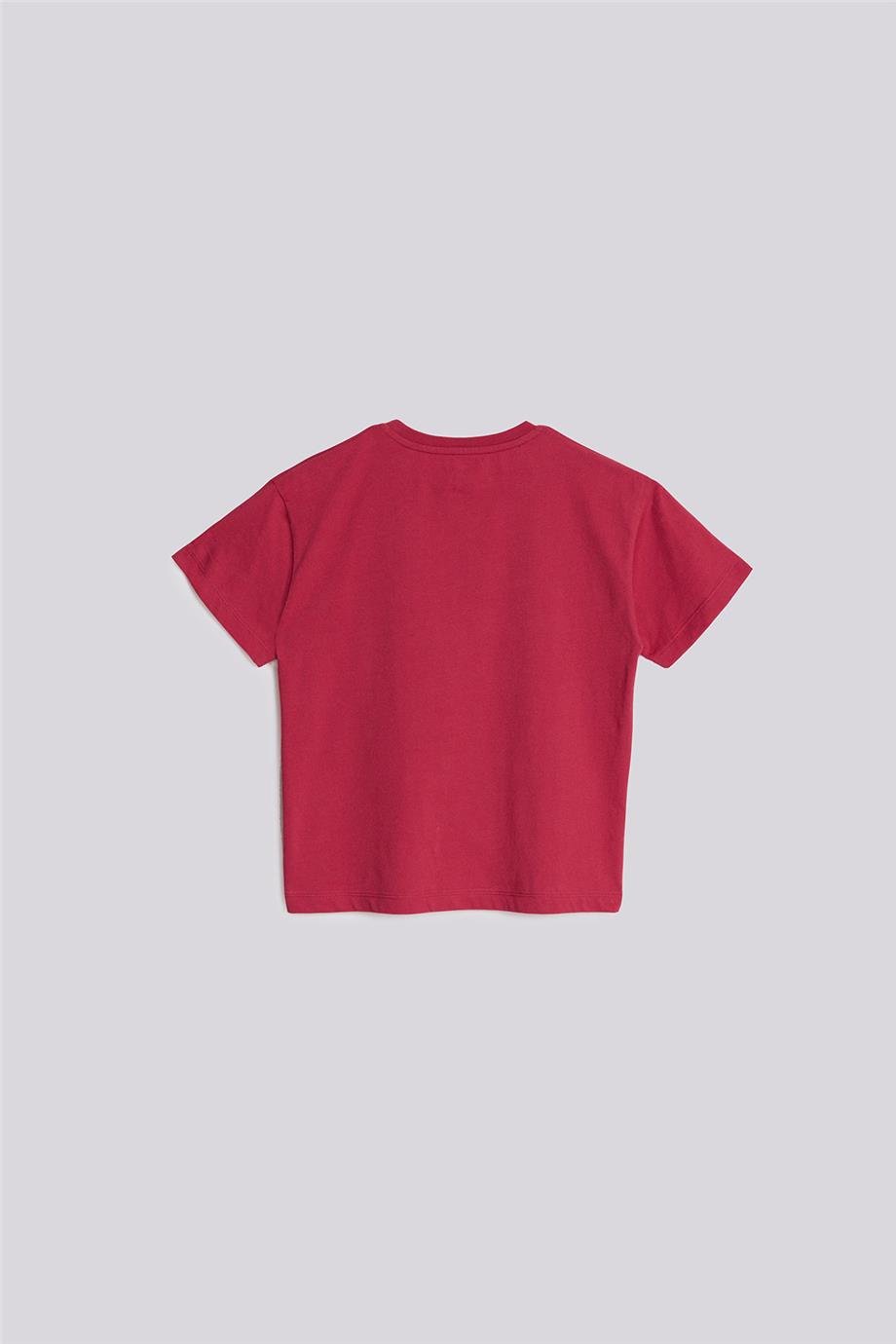 Beverly Hills Polo Club Erkek Çocuk Kırmızı Tshirt