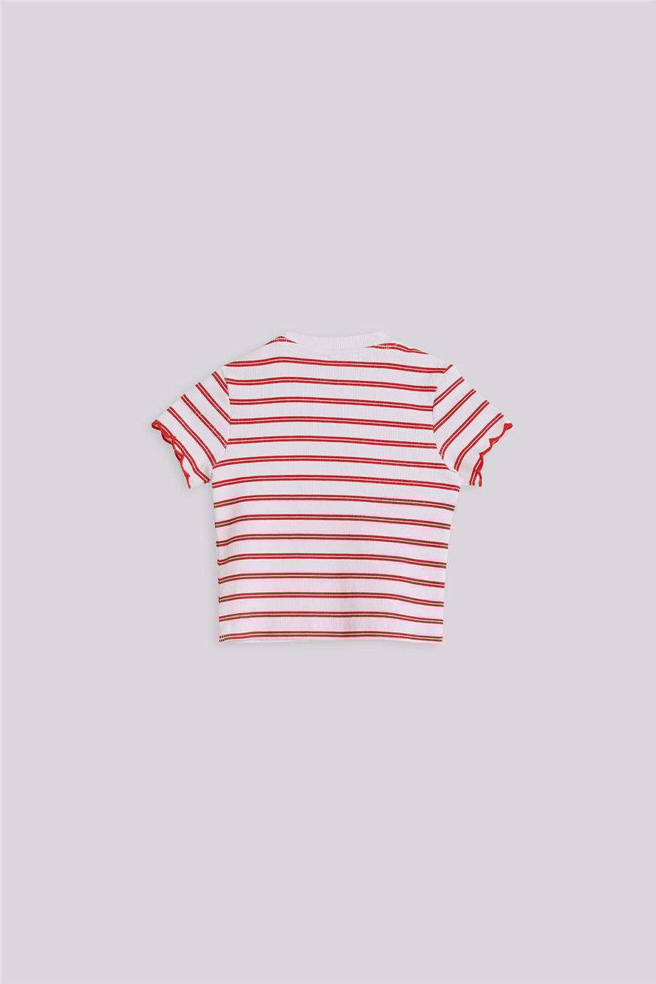 Gb Baby Basic Kız Bebek Çizgili Tshirt