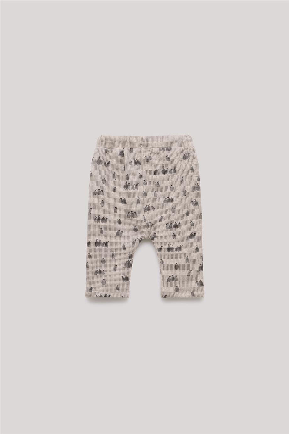 Layette Erkek Bebek Desenli Eşofman Altı