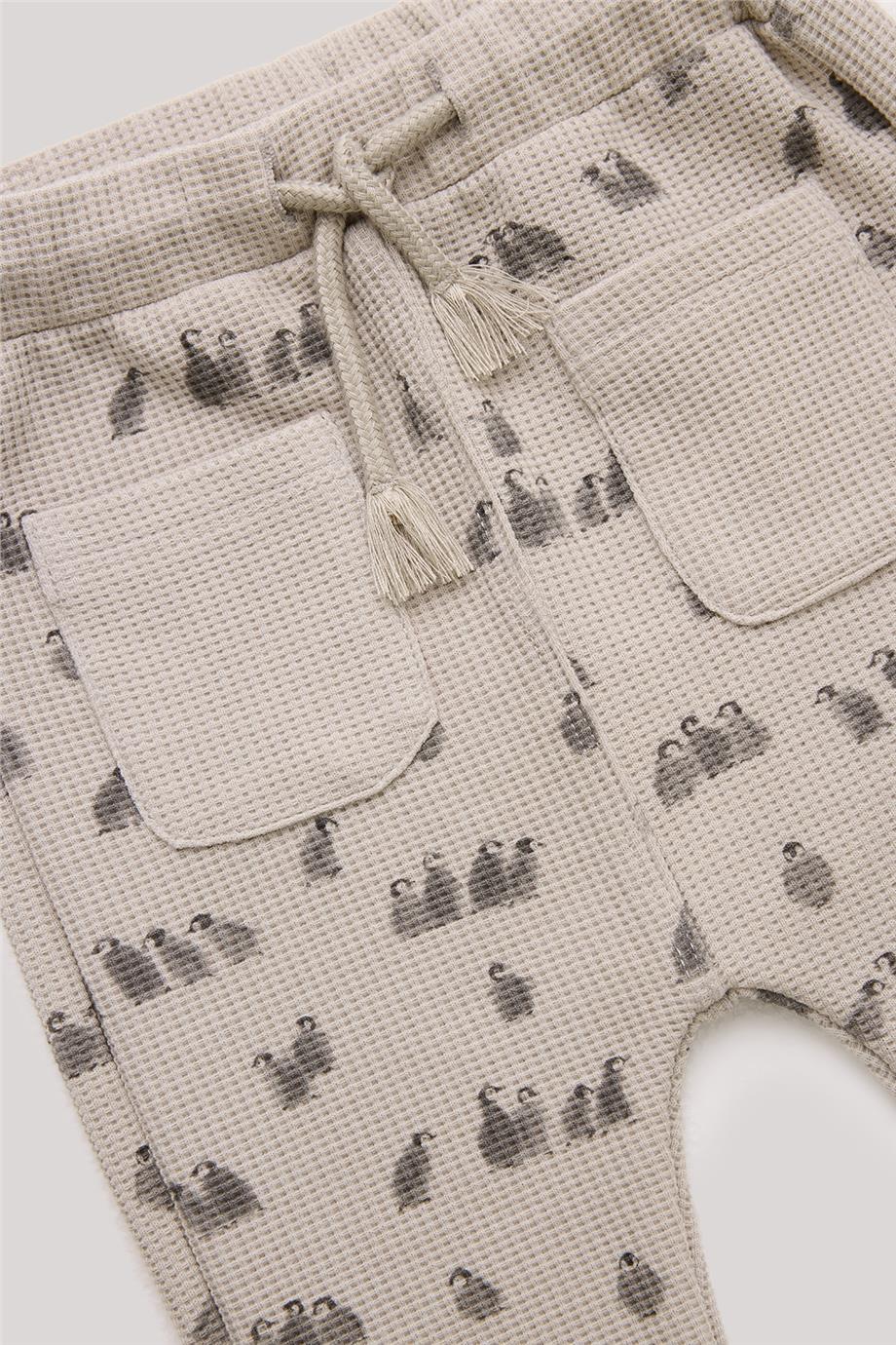 Layette Erkek Bebek Desenli Eşofman Altı