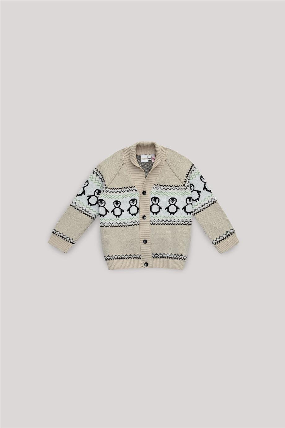 Layette Erkek Bebek Desenli Hırka