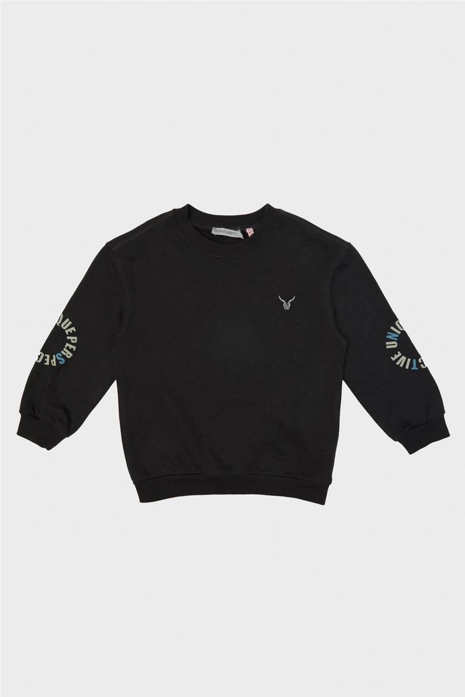 Nebbati Erkek Çocuk Antrasit Sweatshirt