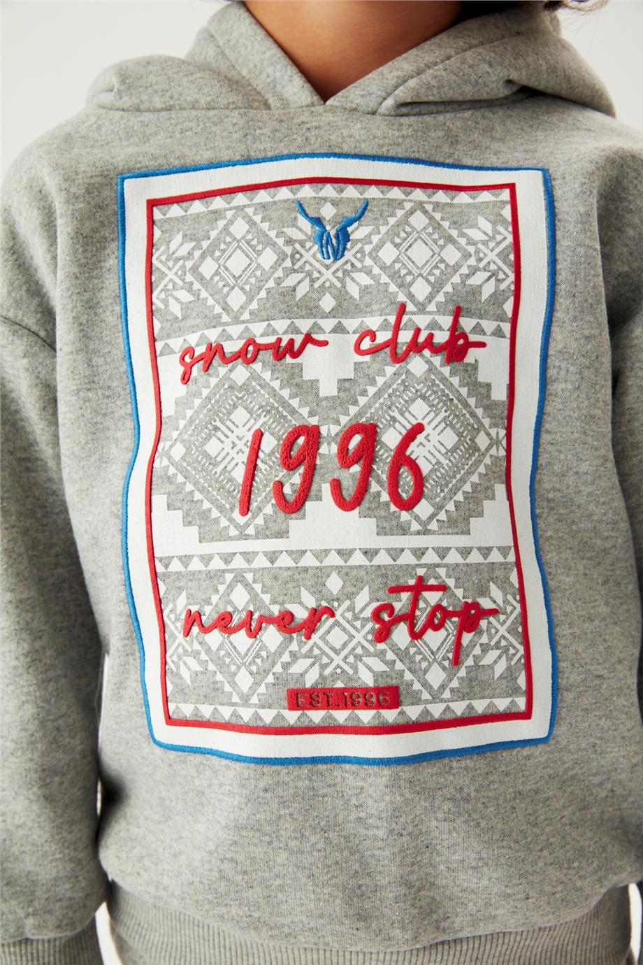 Nebbati Erkek Çocuk Kapüşonlu Gri Sweatshirt