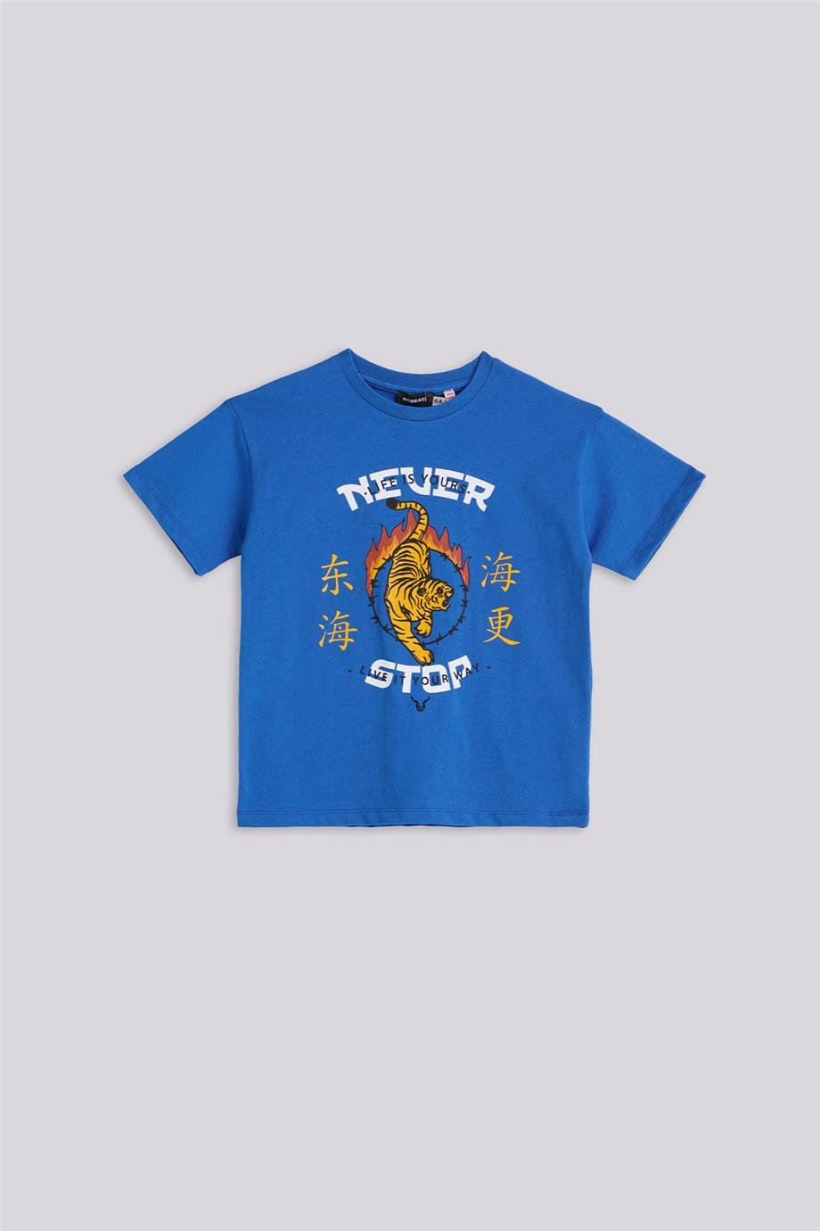 Nebbati Erkek Çocuk Kaplan Basklı Mavi Tshirt