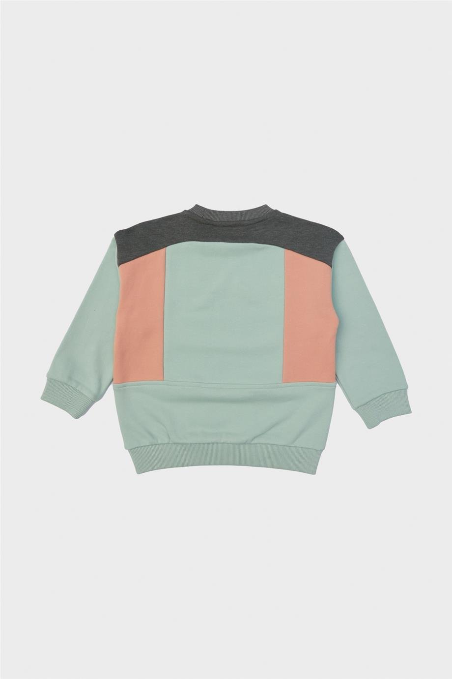 Nebbati Erkek Çocuk Renkli Pamuk Sweatshirt