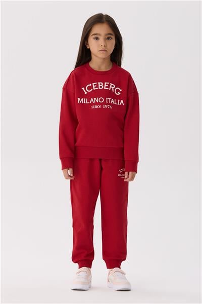 Iceberg Unisex Sweatshirt