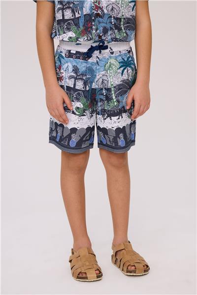 NBT Erkek Çocuk Desenli Şort