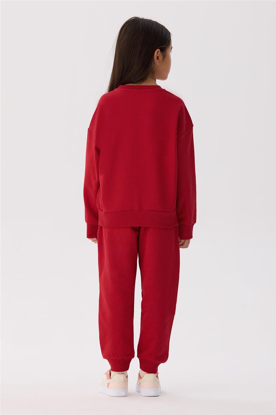 Iceberg Unisex Sweatshirt görsel 8