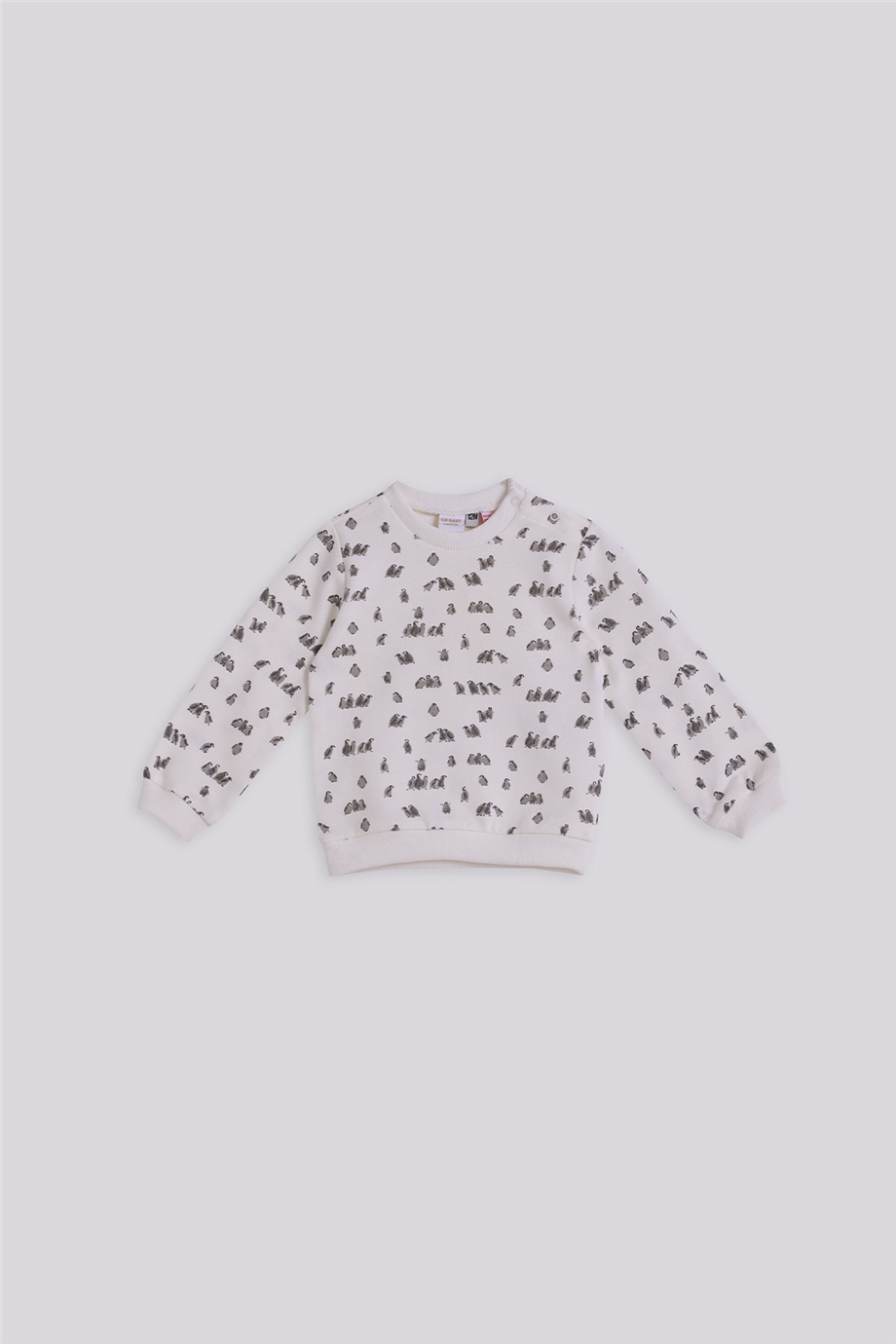 Layette Erkek Bebek Desenli Eşofman Üstü