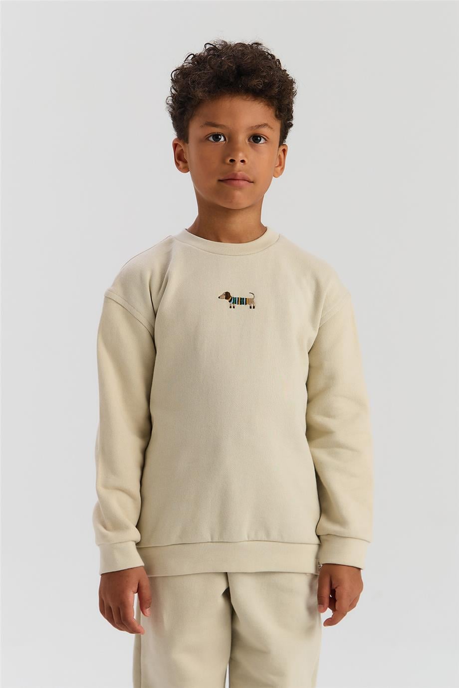 NBT BSC Erkek Çocuk Bej Sweatshirt görsel 2