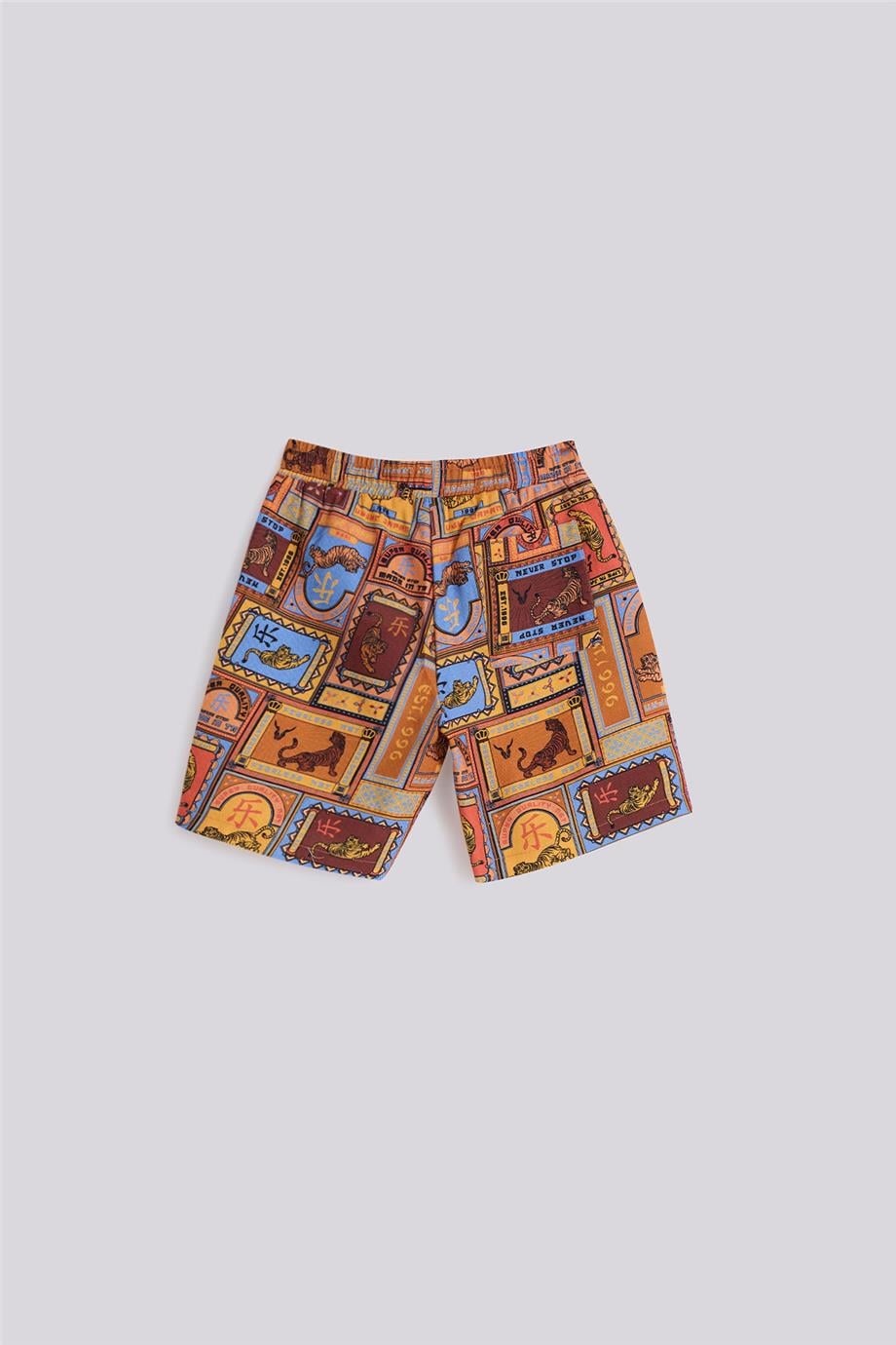 NBT Jeans Erkek Çocuk Desenli Şort görsel 6