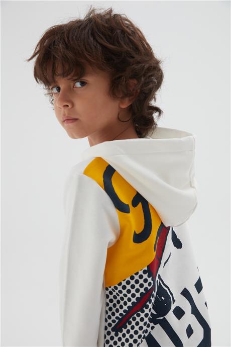 Iceberg Erkek Çocuk Gri Sweatshirt