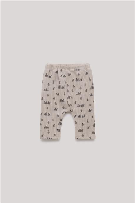Layette Erkek Bebek Desenli Eşofman Altı