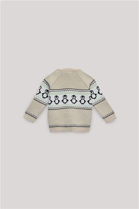 Layette Erkek Bebek Desenli Hırka