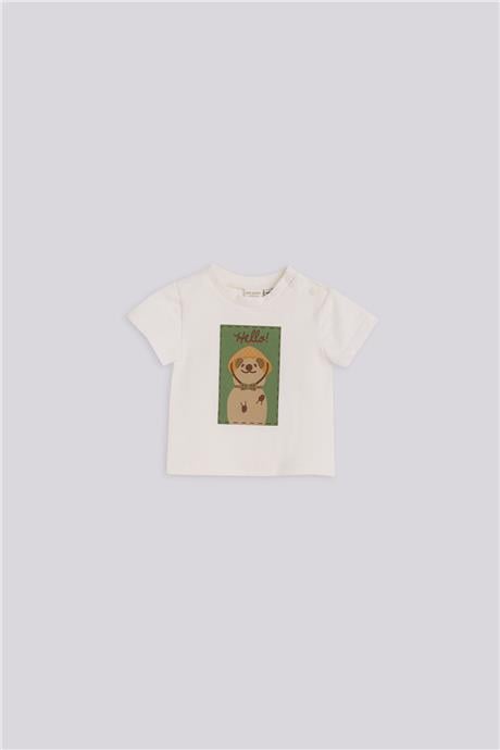 Layette Erkek Bebek Ekru TshirtLayette Erkek Bebek Ekru Tshirt