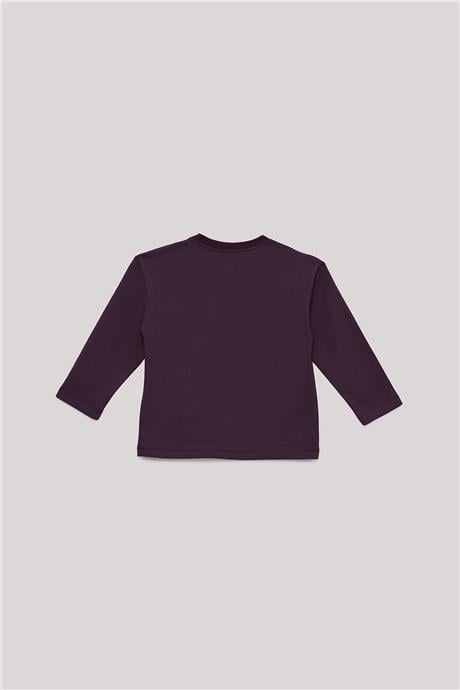 Nebbati Basic Erkek Çocuk Bordo T-Shirt